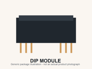 AD210AN 12-lead DIP-style isolation module generic package illustration